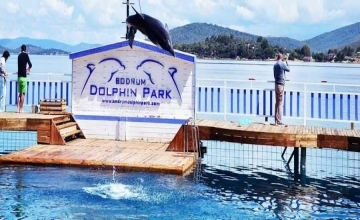 Bodrum Dolphin Park Tour
